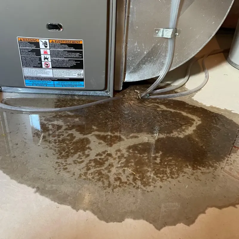 Appliance Leak Cleanup in New Sharon, ME